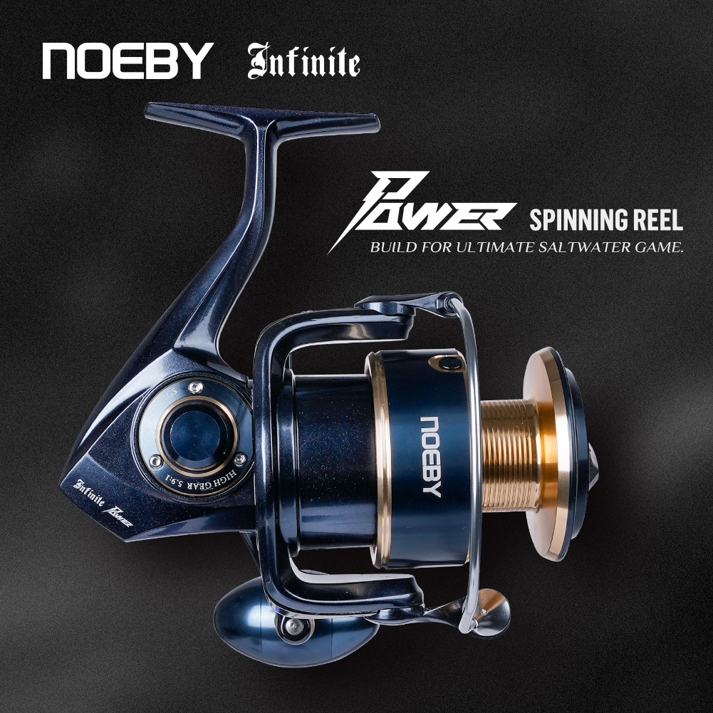 Noeby Infinite Power Spinnroll – Daiwa Reel Bg Bewertung und Preis